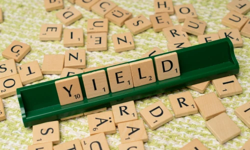 Dividend Stocks